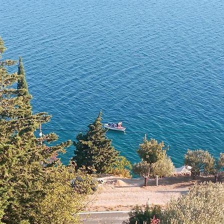Apartment Mate Starigrad Paklenica Exteriér fotografie